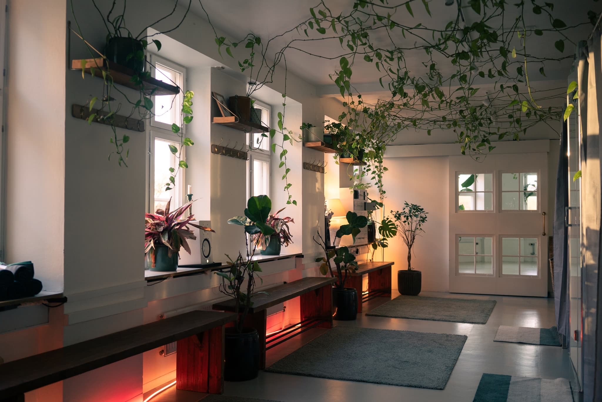 Hot Yoga Copenhagen studie interiør
